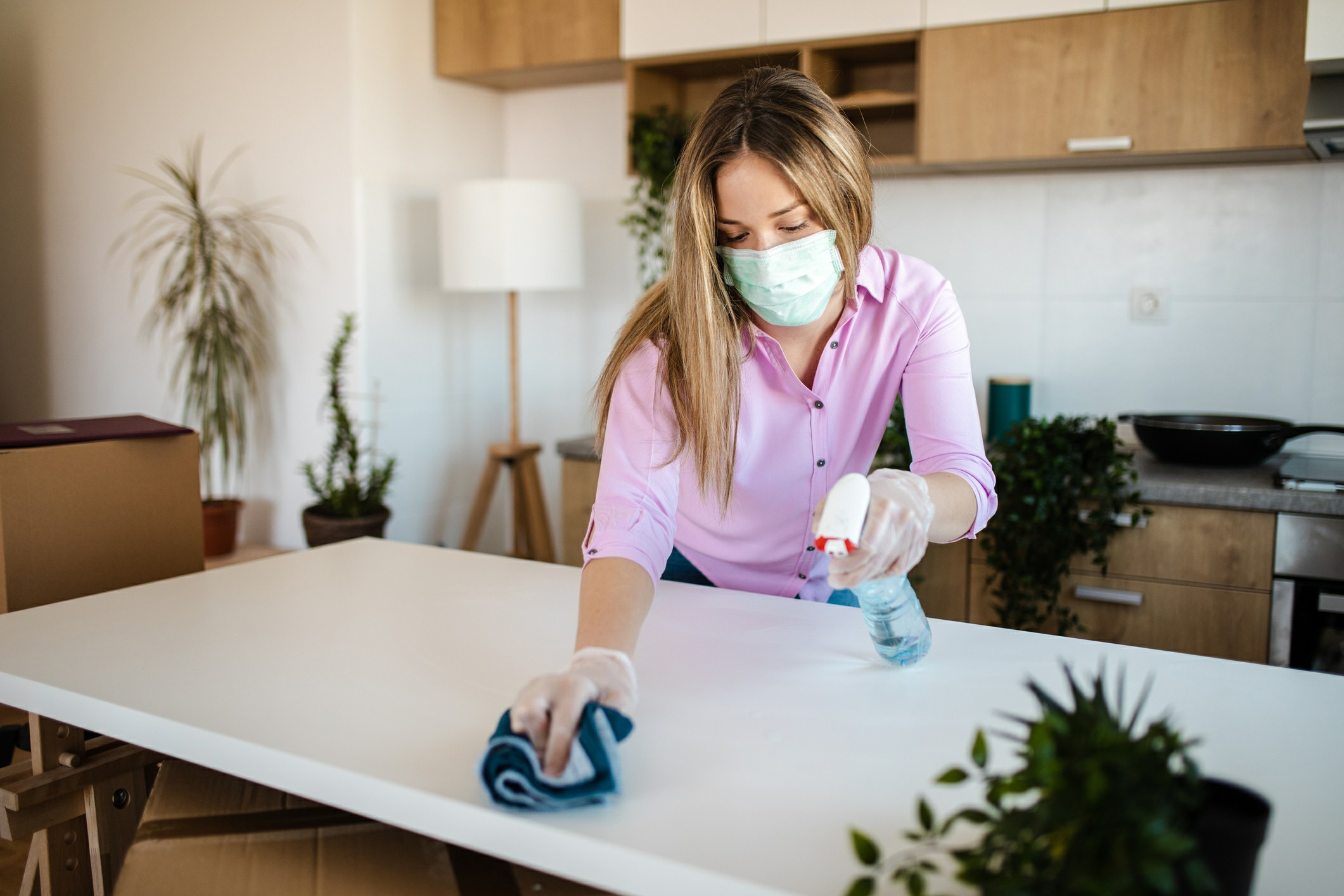 Sanitising the house before moving